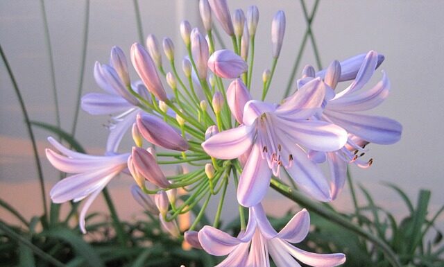 Kto odpowiada za pozyskanie certyfikatu CE?