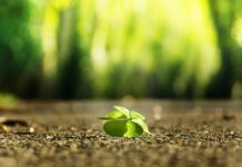 Jak znaleźć darmowe kursy?