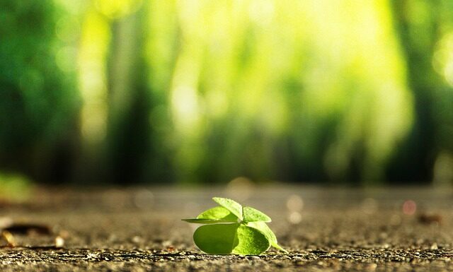 Jak znaleźć darmowe kursy?