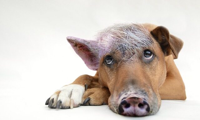 Co to jest coaching pracowników?