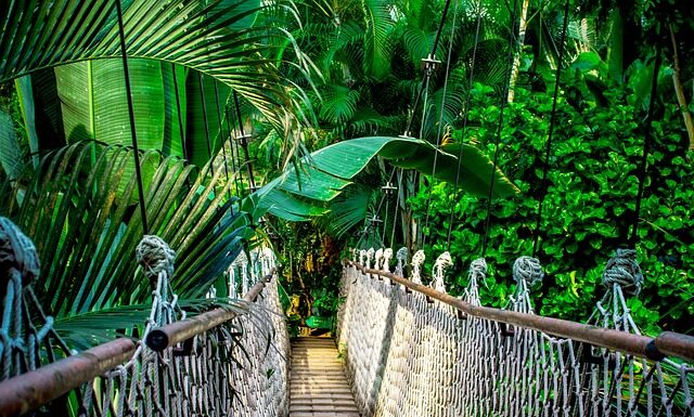 Jaki kurs warto zrobić w 2023? Jaki kurs warto zrobić w 2023?