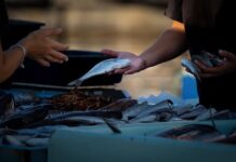 Jak sprzedawać swoje teksty?