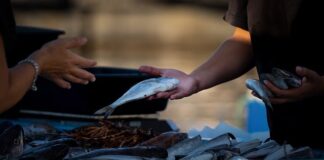 Jak sprzedawać swoje teksty?