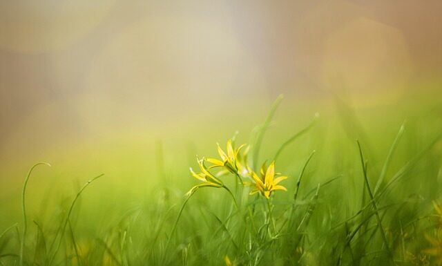 Co to jest ZZS? Co to jest ZZS?