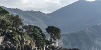 Ile kosztuje skład tekstu?