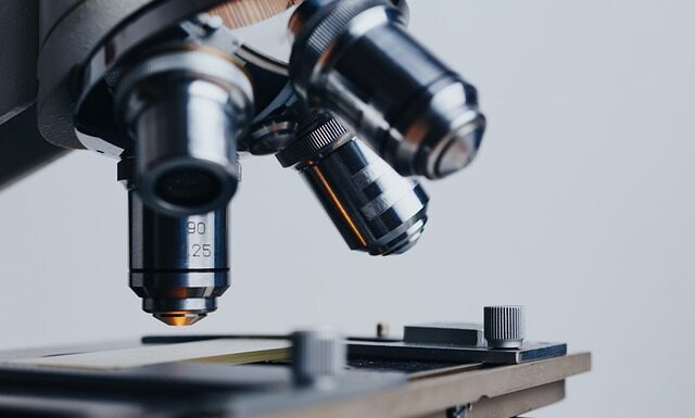 Kogo czego celi czy celów?