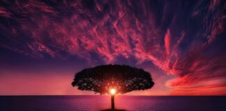 Jakie są chmury komputerowe?