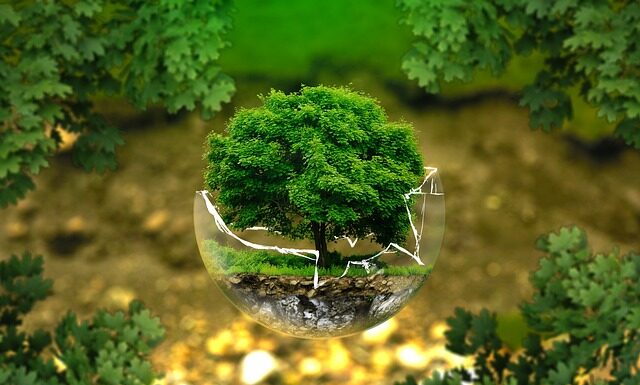 Kiedy Twoje życie nie ma sensu? Kiedy Twoje życie nie ma sensu?