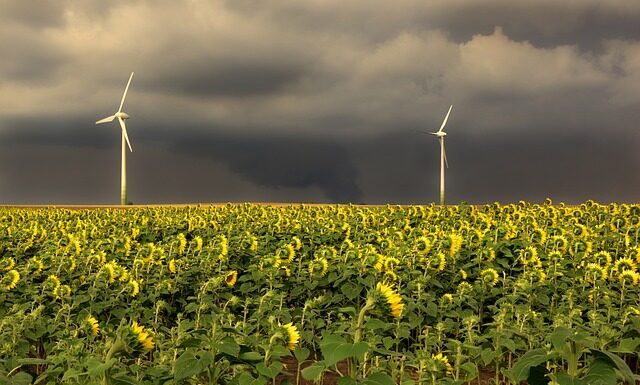 Czy kolejność w CV ma znaczenie?