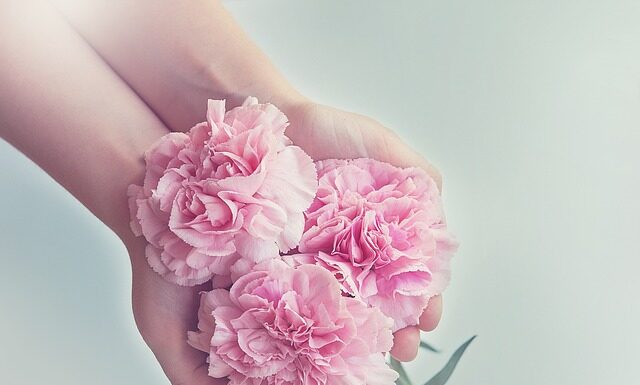 Czy dziadkowie wlicza się do gospodarstwa domowego?