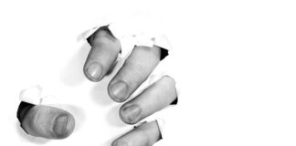 Kto zalicza się do sektora publicznego?