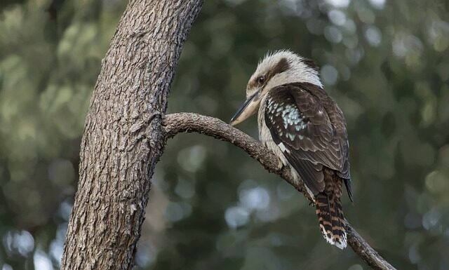 Na czym polega zauroczenie? Na czym polega zauroczenie?
