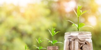 W jakie kursy warto inwestować?